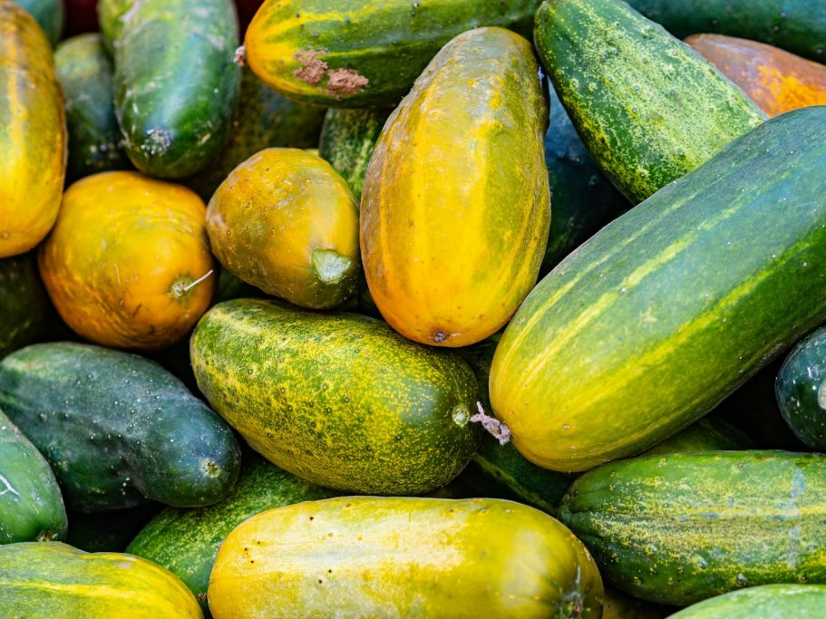 Zuchini